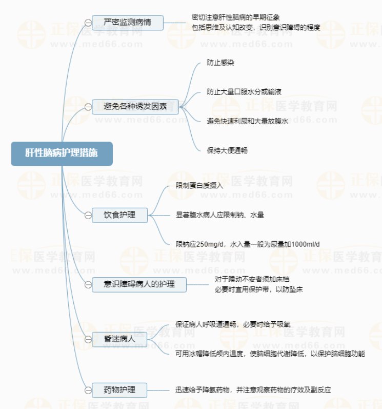 《医教网2024主管护师》-书籍-学习资料-电子书夸克网盘资源分享