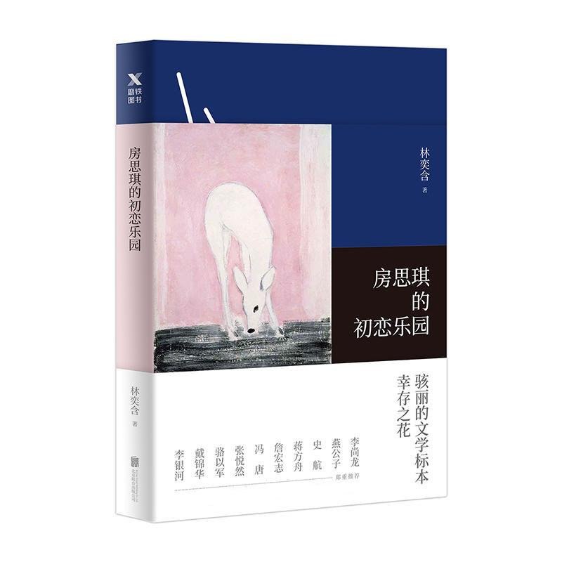 《房思琪的初恋乐园》-书籍-学习资料-电子书夸克网盘资源分享