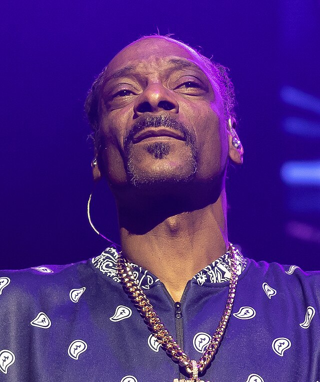 《snoop dogg》-书籍-学习资料-电子书夸克网盘资源分享