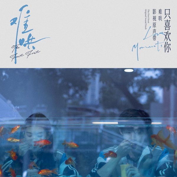 《群星 - 电视剧难哄影视原声带·只喜欢你Love Moments》-书籍-学习资料-电子书夸克网盘资源分享