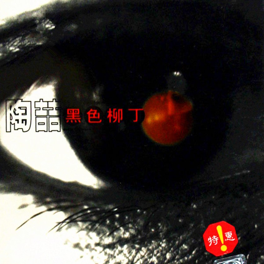 《陶喆 - 黑色柳丁》-书籍-学习资料-电子书夸克网盘资源分享