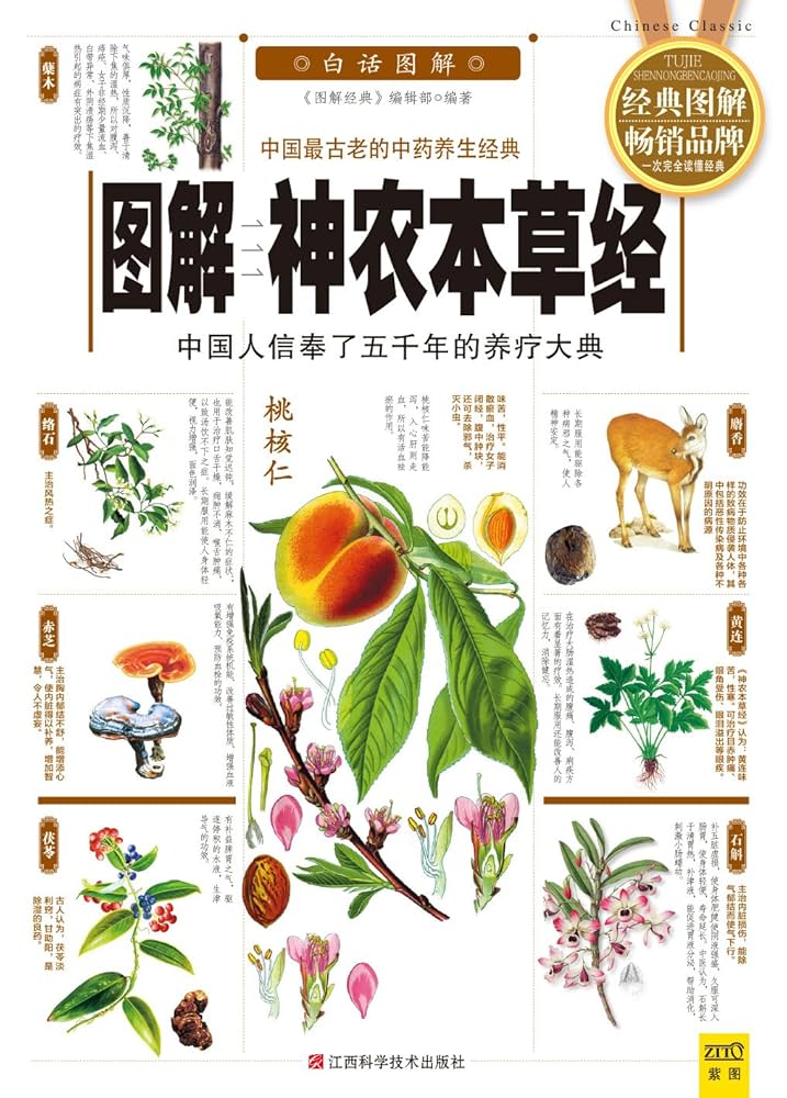 《图解神农本草经中国人信奉了五千年的养疗大典》-书籍-学习资料-电子书夸克网盘资源分享