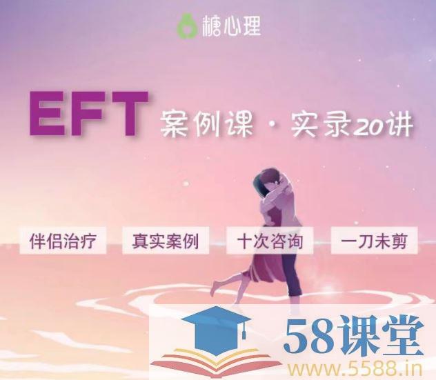 《EFT伴侣治疗案例观摩视频课》-书籍-学习资料-电子书夸克网盘资源分享