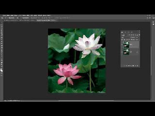 《PS后期修图调色课程》-书籍-学习资料-电子书夸克网盘资源分享
