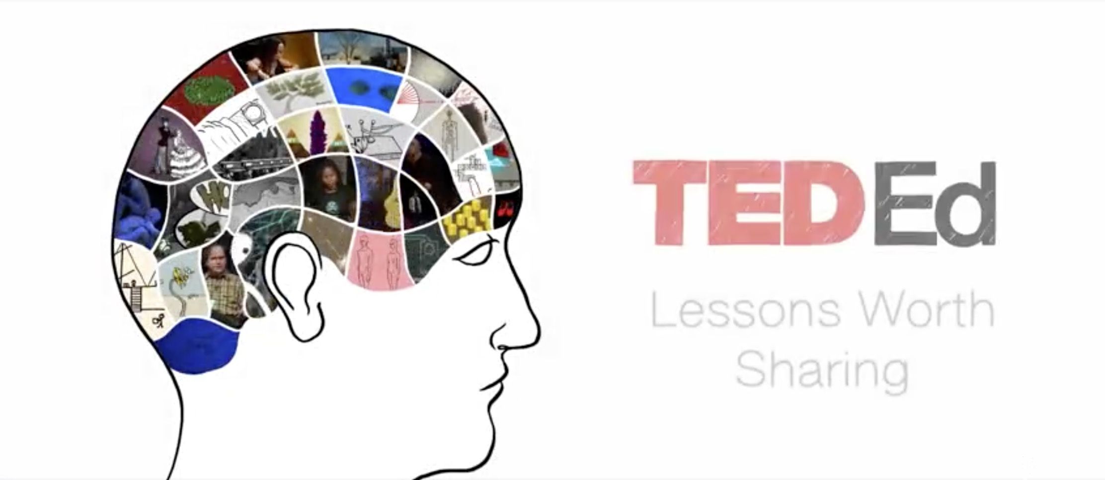 《TED-Ed科普动画系列你应该知道的知识》-书籍-学习资料-电子书夸克网盘资源分享