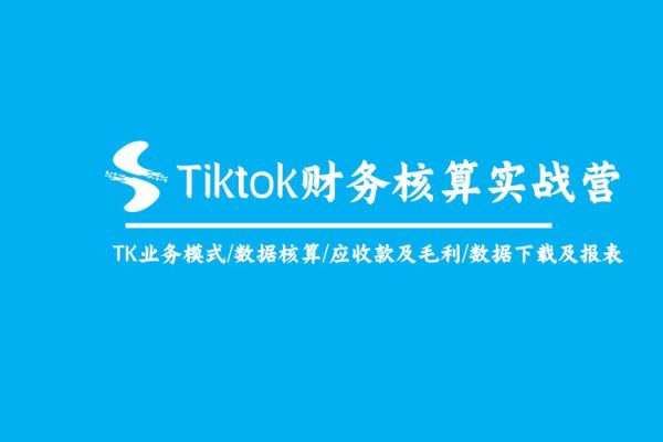 《Tiktok 财务核算实操营》-书籍-学习资料-电子书夸克网盘资源分享