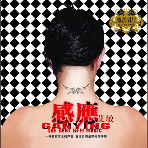 《艾敏歌曲合集》-书籍-学习资料-电子书夸克网盘资源分享