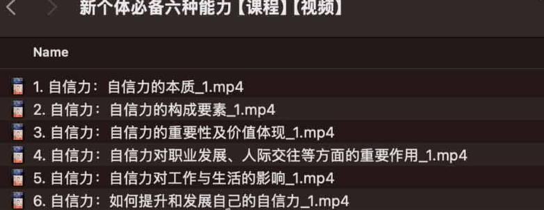 《新个体必备六种能力课程视频》-书籍-学习资料-电子书夸克网盘资源分享
