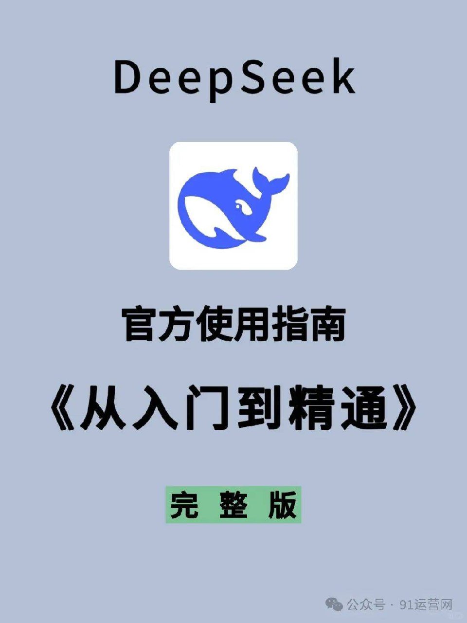 《deepseek入门手册》-书籍-学习资料-电子书夸克网盘资源分享