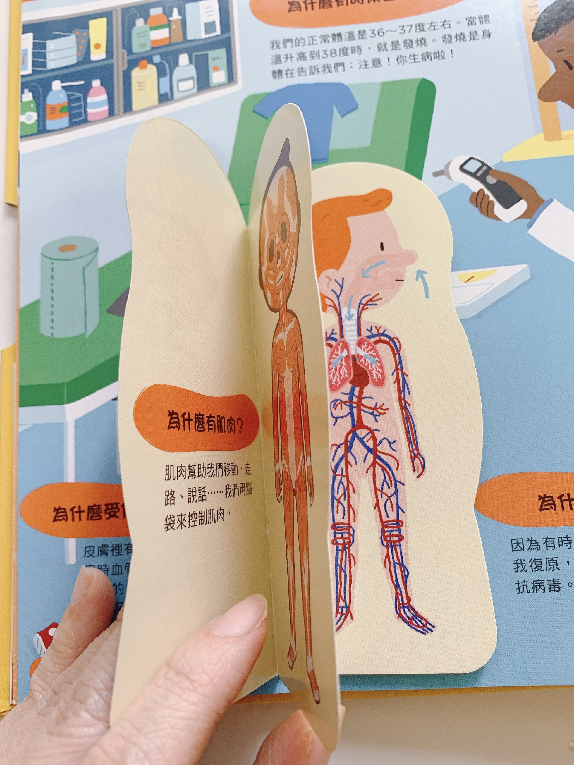 《0075. 未读探索家·万物科普(比打游戏上瘾的趣味知识！迷人的材料 WHAT IF 茶杯里的风暴 给好奇者的暗黑物理学)(全4册) (未读·探索家).epub》-书籍-学习资料-电子书夸克网盘资源分享