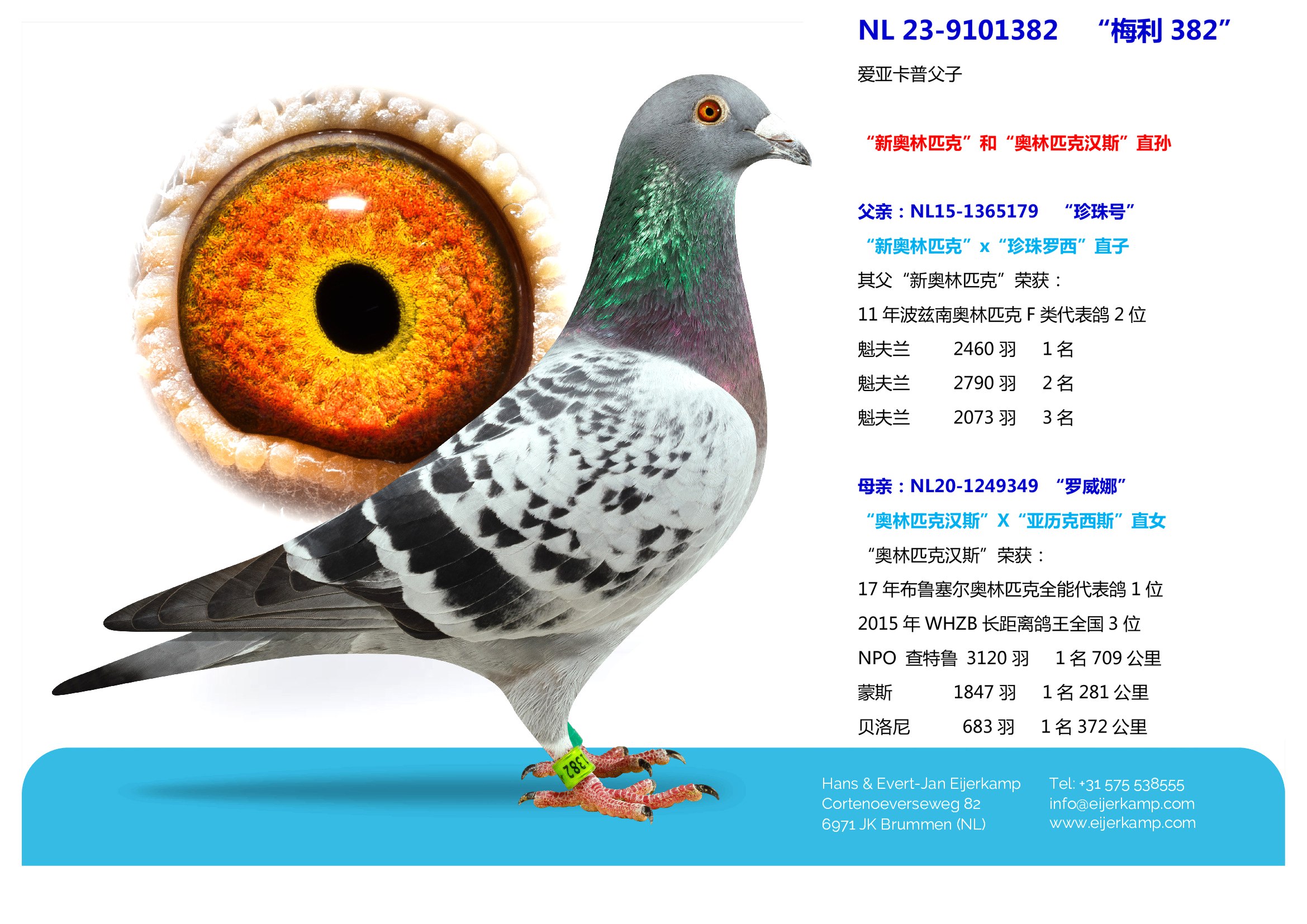《0234. 卡尔维诺精选作品集(套装23册)(王小波挚爱,与卡夫卡、马尔克斯、普鲁斯特齐名的世界一流大师).epub》-书籍-学习资料-电子书夸克网盘资源分享