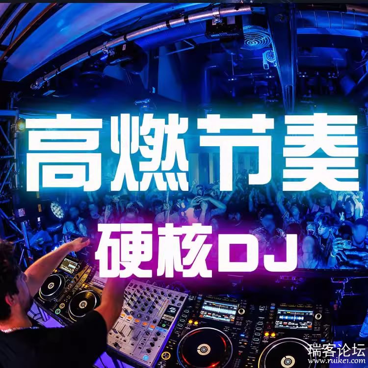 《动感热烈高燃DJ舞曲合集》-书籍-学习资料-电子书夸克网盘资源分享