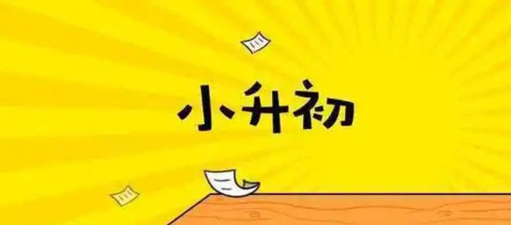 《2025年新版小升初语文总复习专项知识点46套》-书籍-学习资料-电子书夸克网盘资源分享