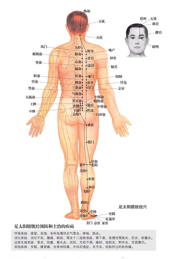 《高清人体穴位图图解大全集》-书籍-学习资料-电子书夸克网盘资源分享