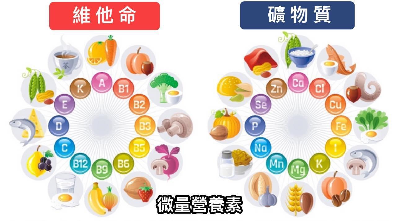 《你的健康离不开微量营养素-微量元素食疗手册》-书籍-学习资料-电子书夸克网盘资源分享