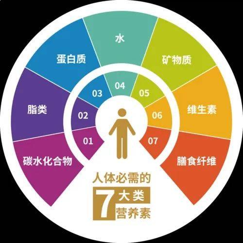 《人体必需营养素大全》-书籍-学习资料-电子书夸克网盘资源分享