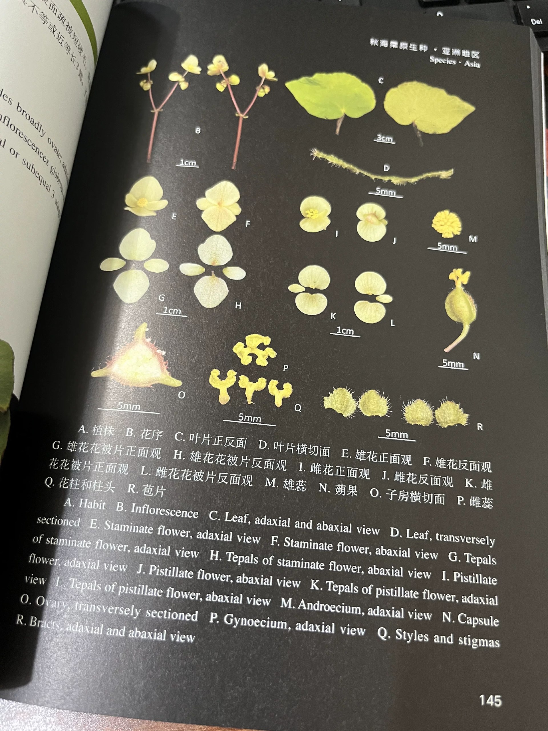全程图解电工维修技法-书籍-学习资料-电子书夸克网盘资源分享