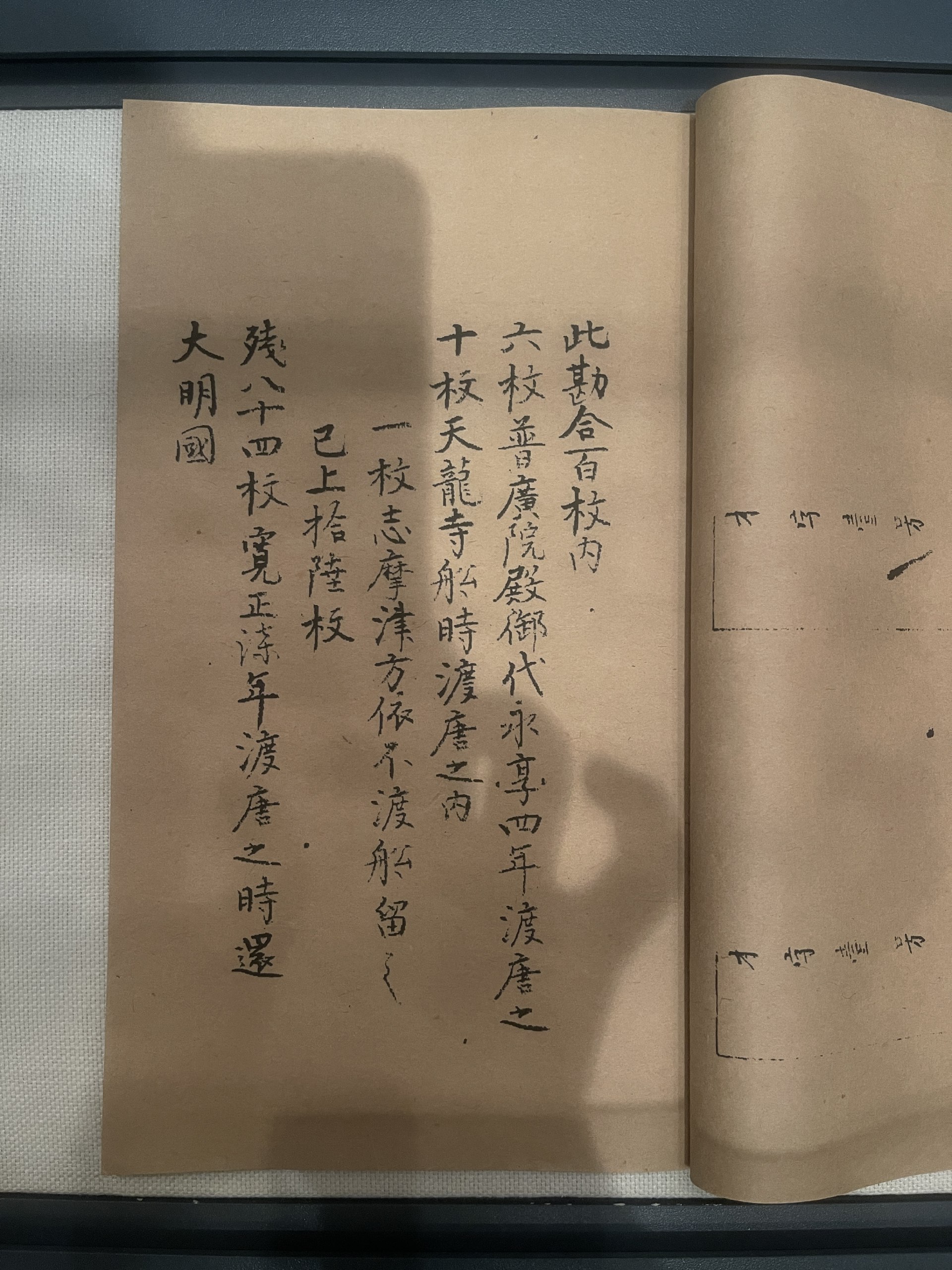 少儿科普有声读物卓克·科学思维课-书籍-学习资料-电子书夸克网盘资源分享