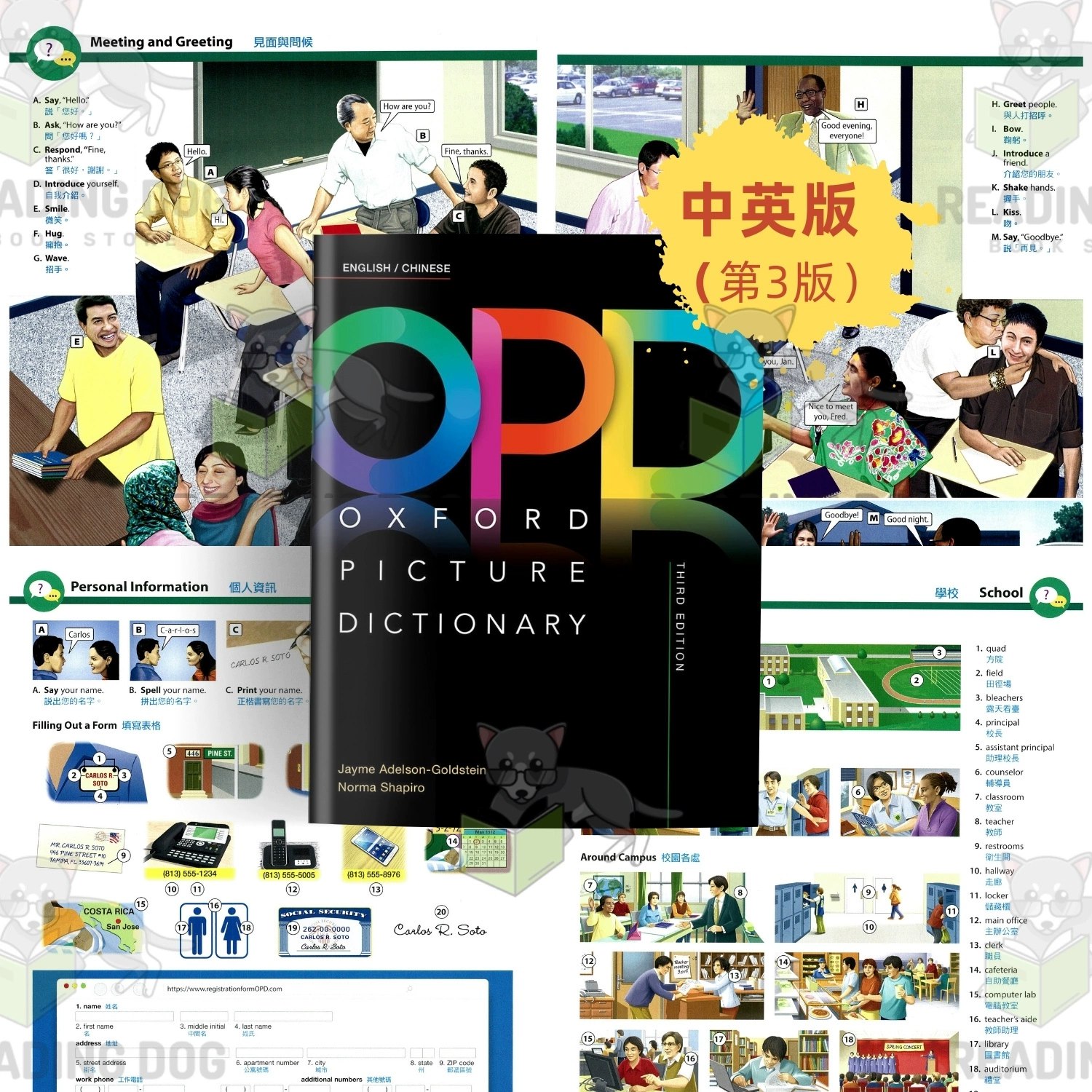 小学英语新教材完全解读提升小学英语水平-书籍-学习资料-电子书夸克网盘资源分享