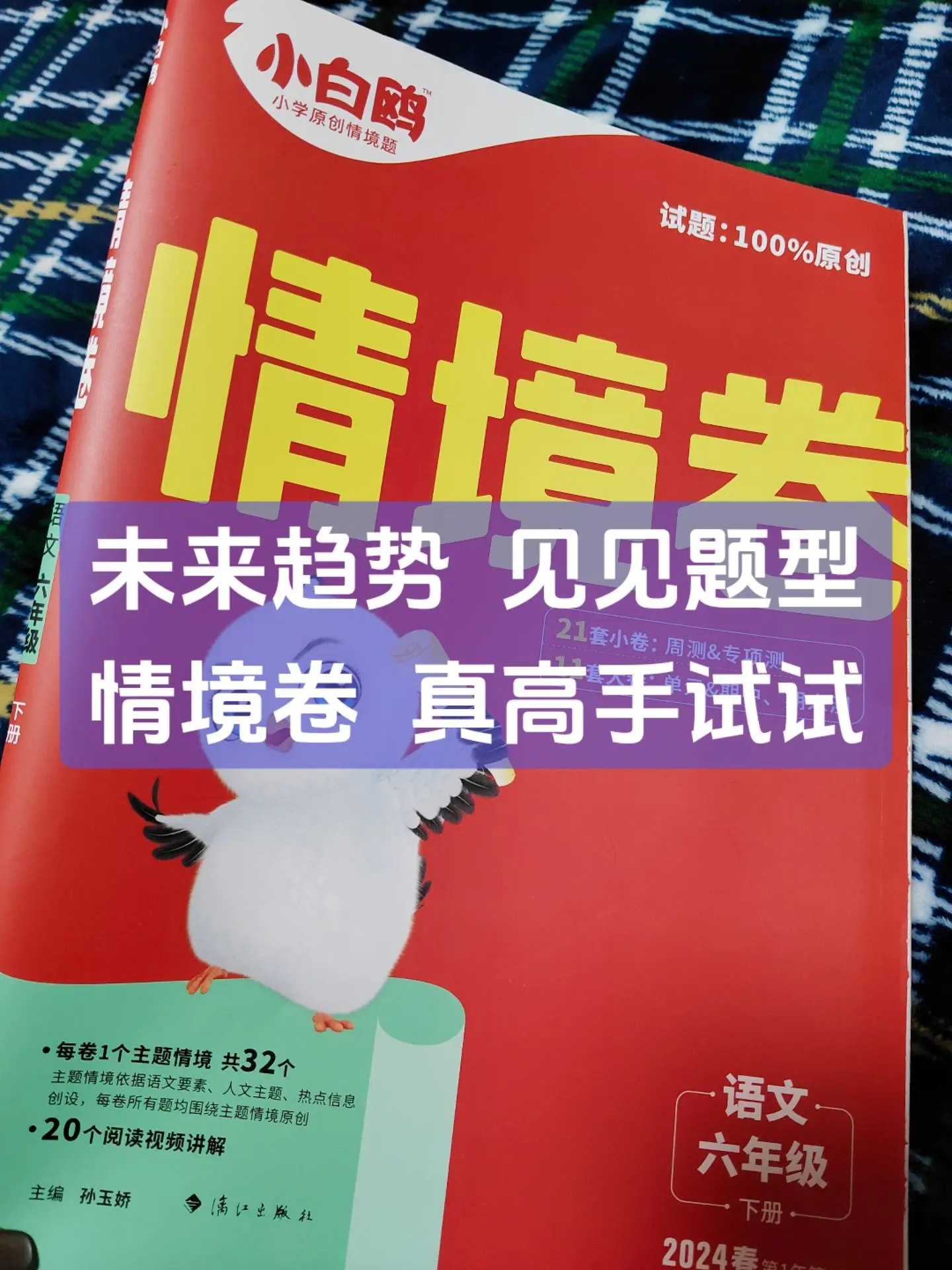 小白鸥小学语文情境题(版)-书籍-学习资料-电子书夸克网盘资源分享