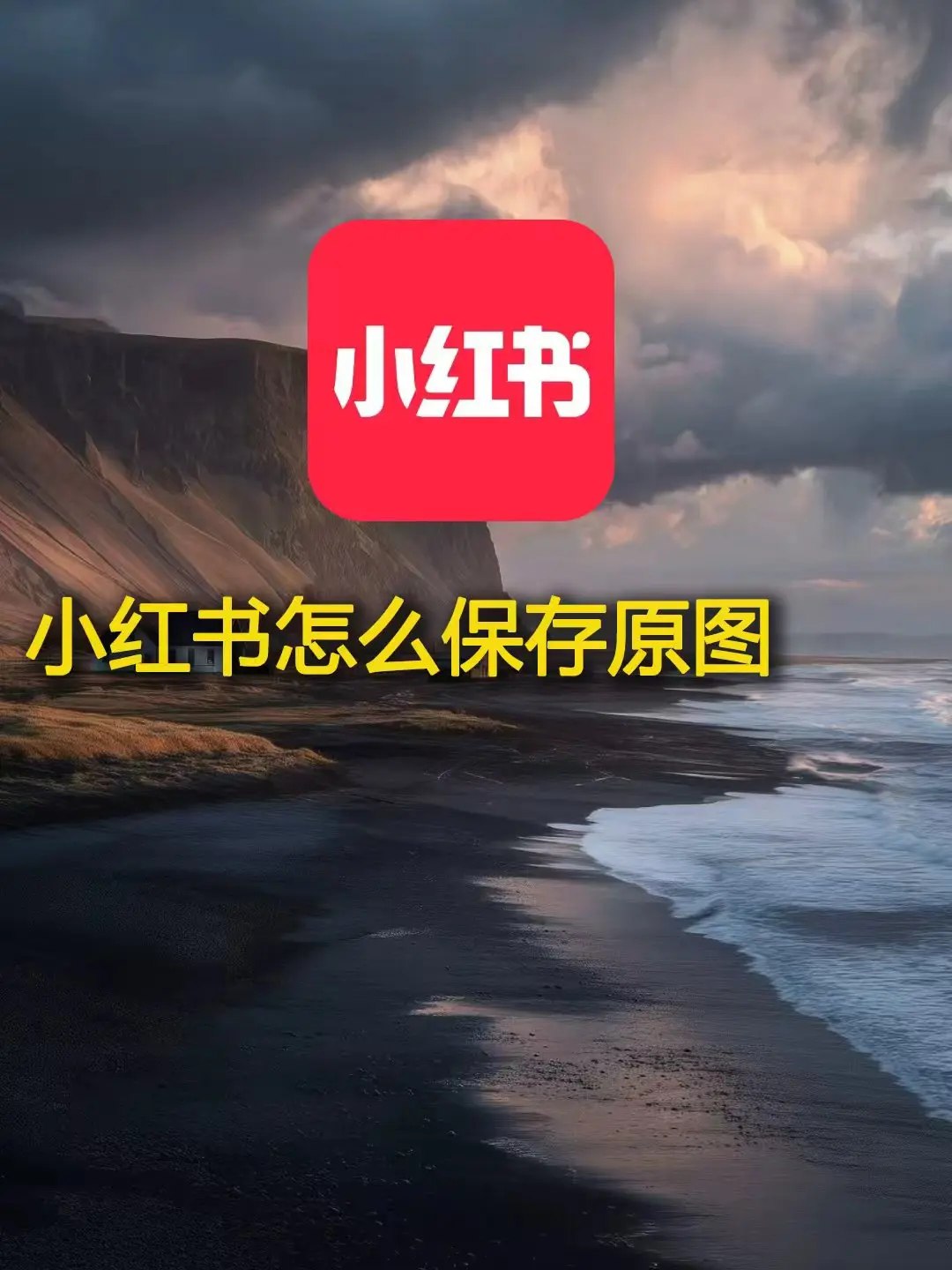 解读李阳疯狂英语-书籍-学习资料-电子书夸克网盘资源分享
