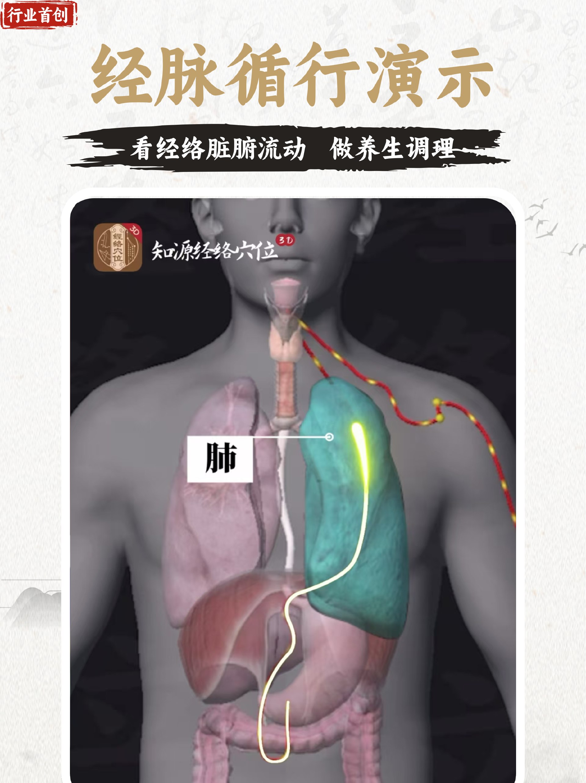 经络学68讲-书籍-学习资料-电子书夸克网盘资源分享