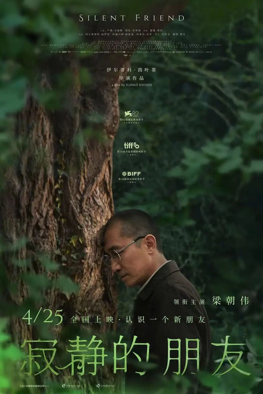 超越百岁长寿的科学与艺术-书籍-学习资料-电子书夸克网盘资源分享