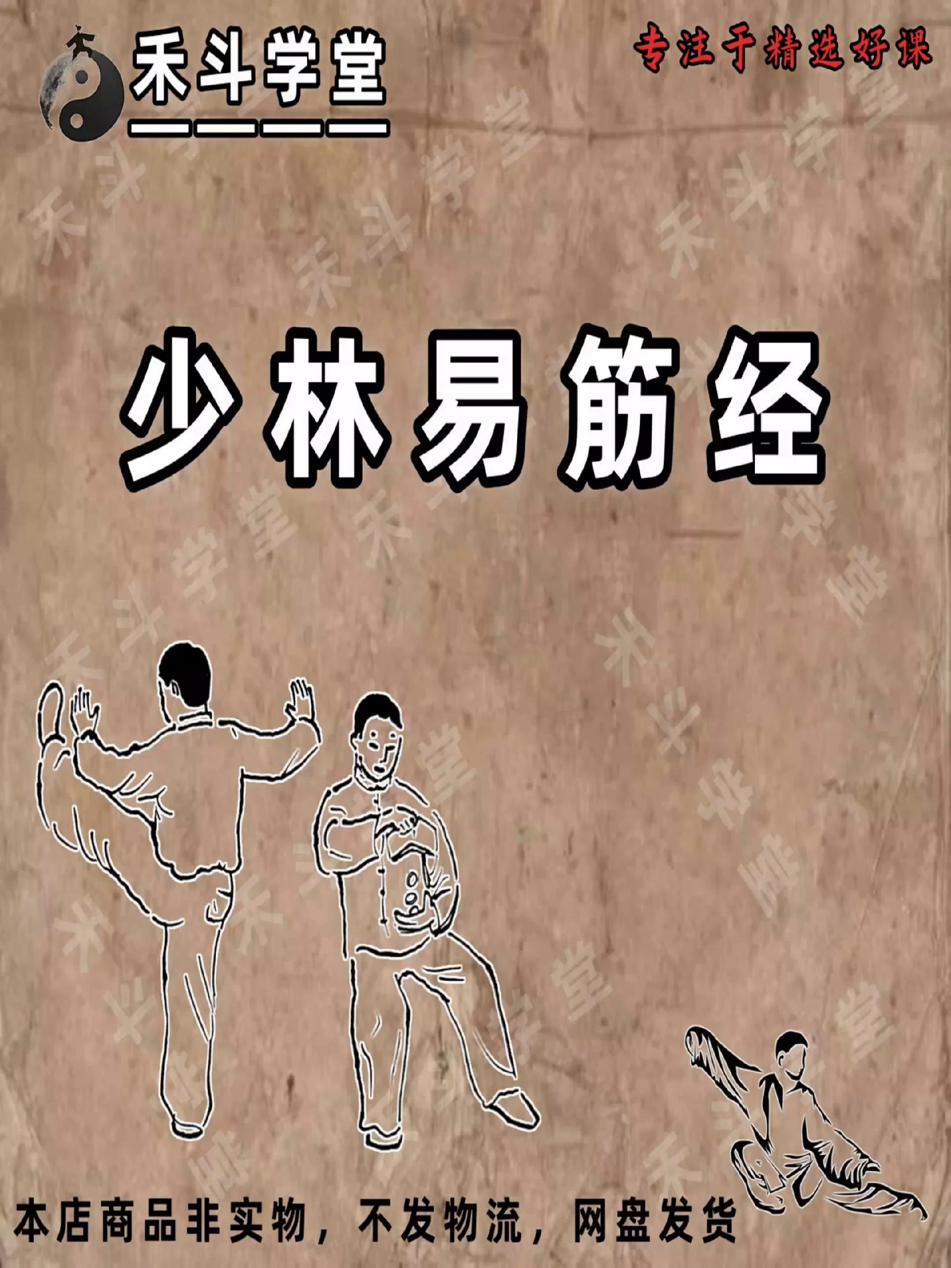 文老师的基础知识课（二）-书籍-学习资料-电子书夸克网盘资源分享