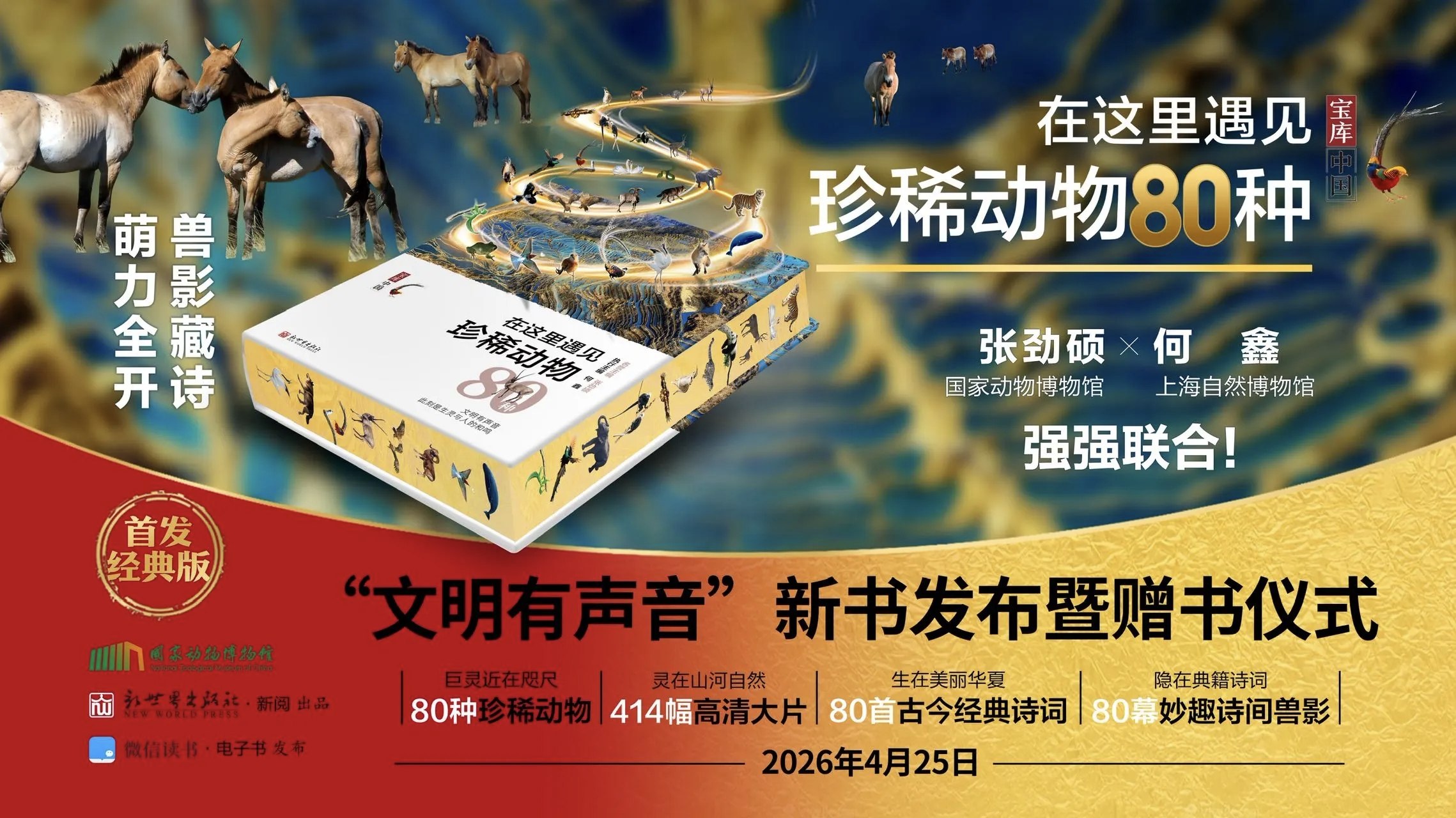 波妞波力的视频通用教程视频-书籍-学习资料-电子书夸克网盘资源分享