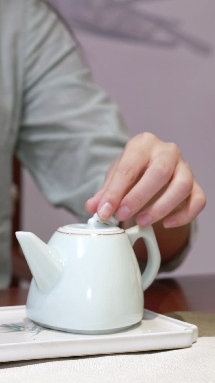 茶艺师教程(1)-书籍-学习资料-电子书夸克网盘资源分享