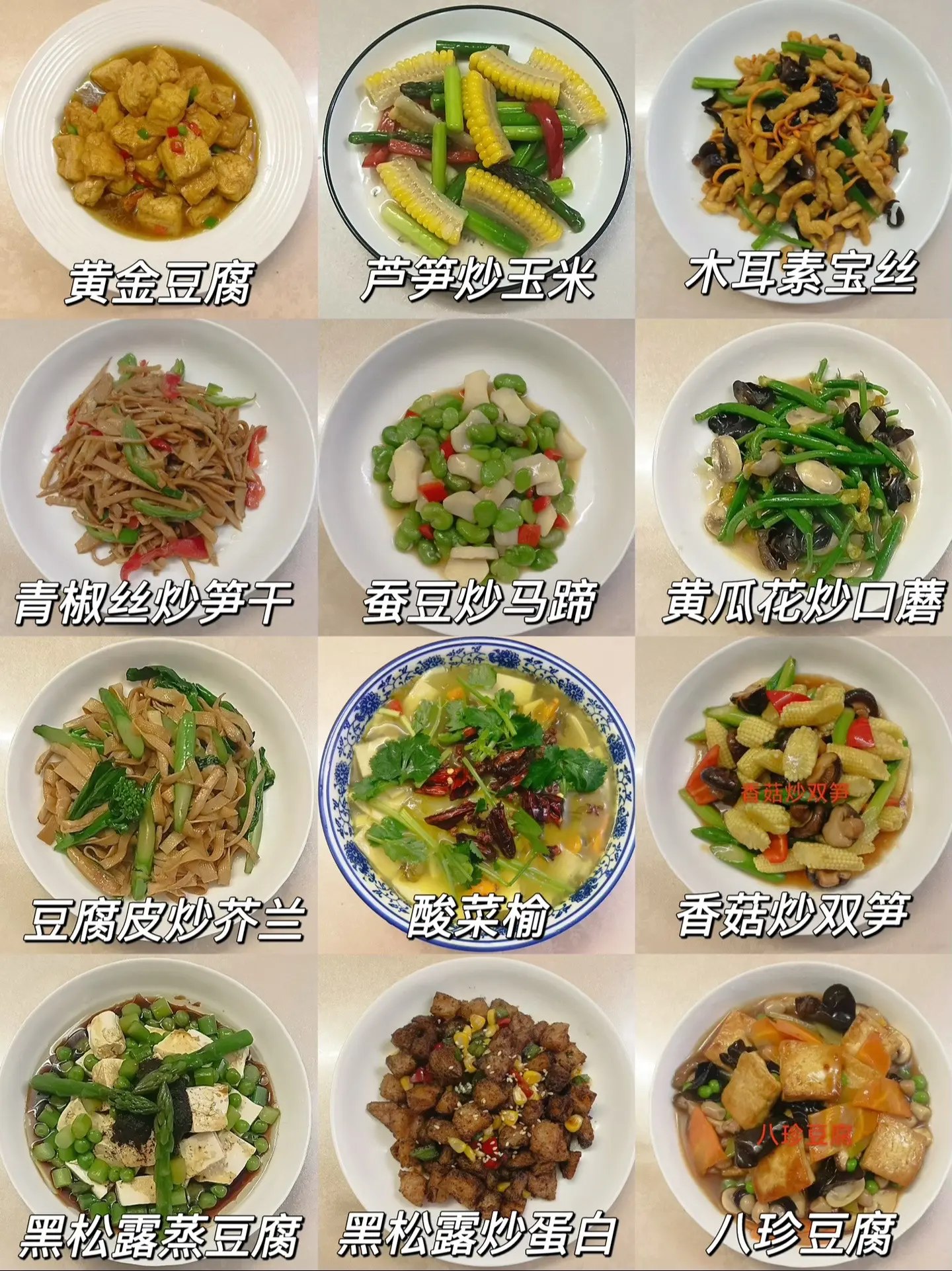 各种火锅类24种美食技术教程(1)-书籍-学习资料-电子书夸克网盘资源分享