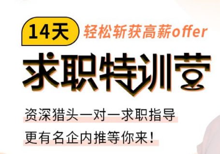 刘媛媛亲授：14天求职特训营，轻松斩获高薪offer-书籍-学习资料-电子书夸克网盘资源分享