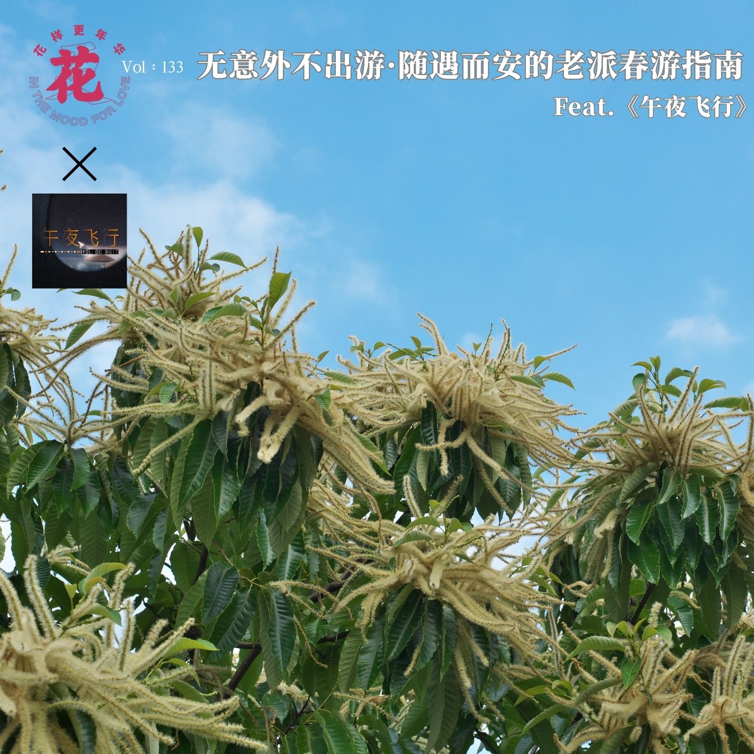 江无情：福尔摩斯的推理笔记课程-书籍-学习资料-电子书夸克网盘资源分享