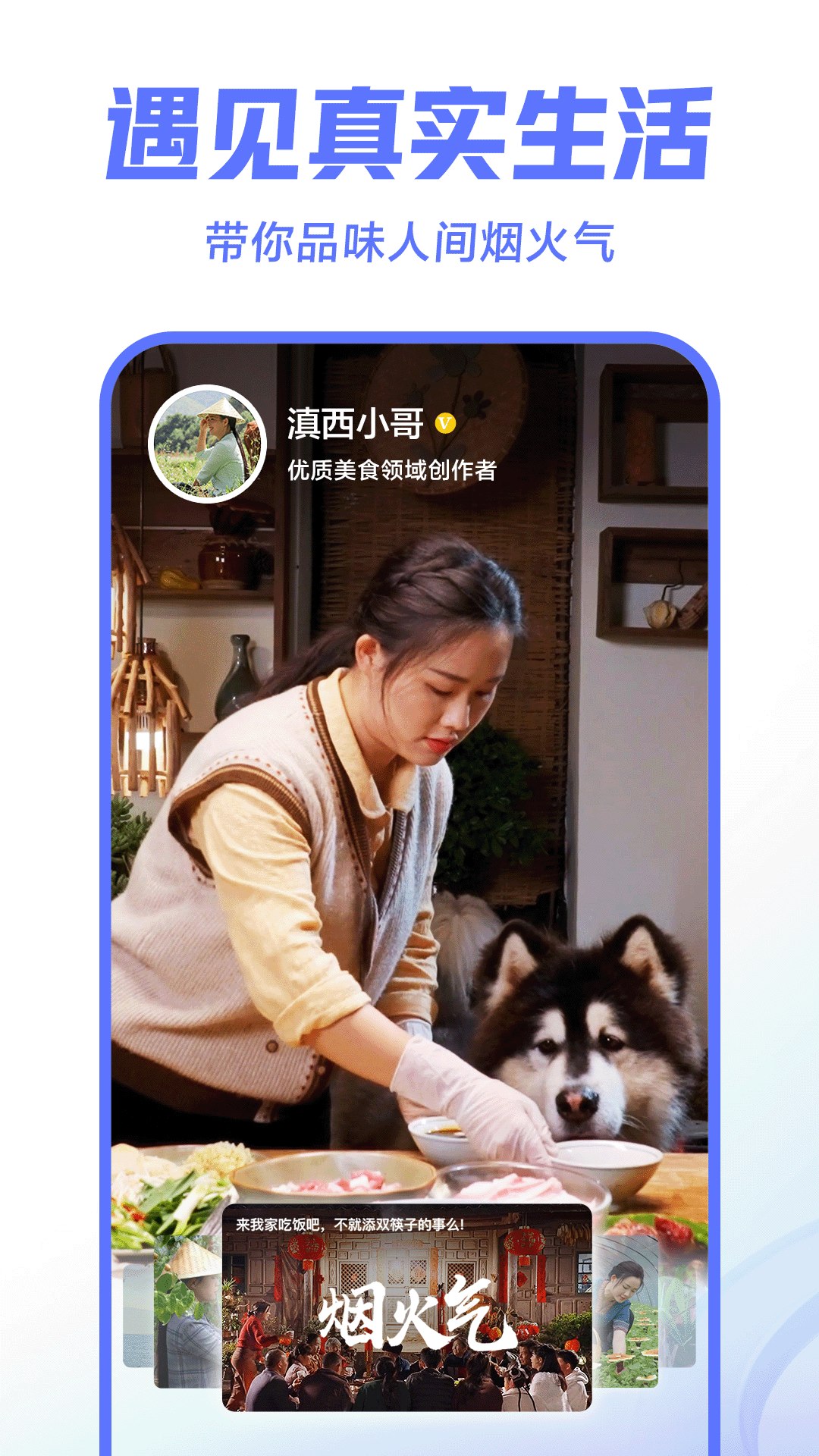 天下网校-宠物狗训练视频教程-书籍-学习资料-电子书夸克网盘资源分享