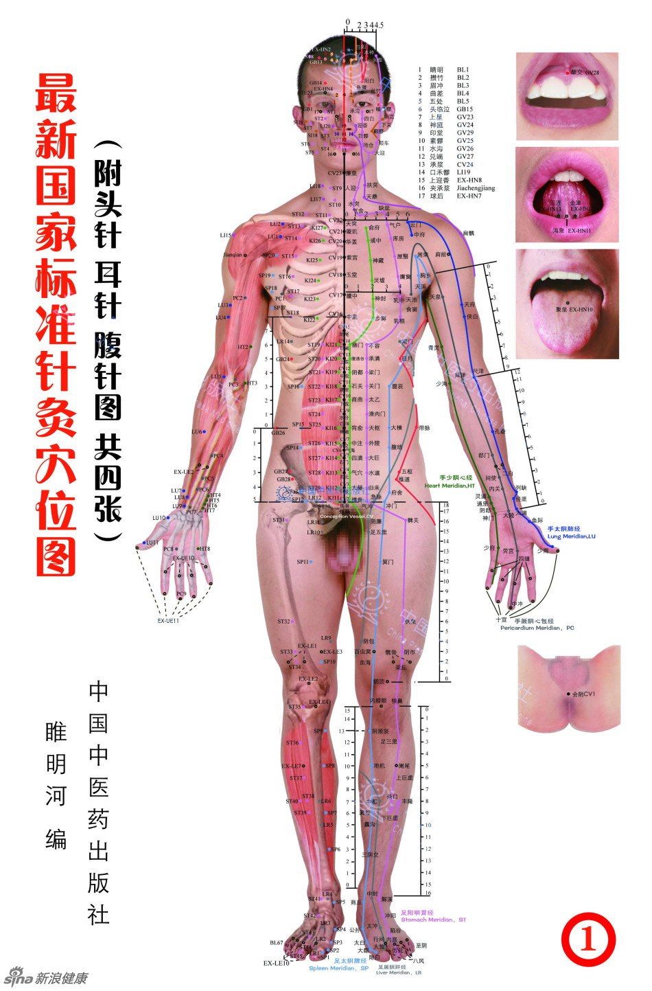超高清人体穴位图-书籍-学习资料-电子书夸克网盘资源分享