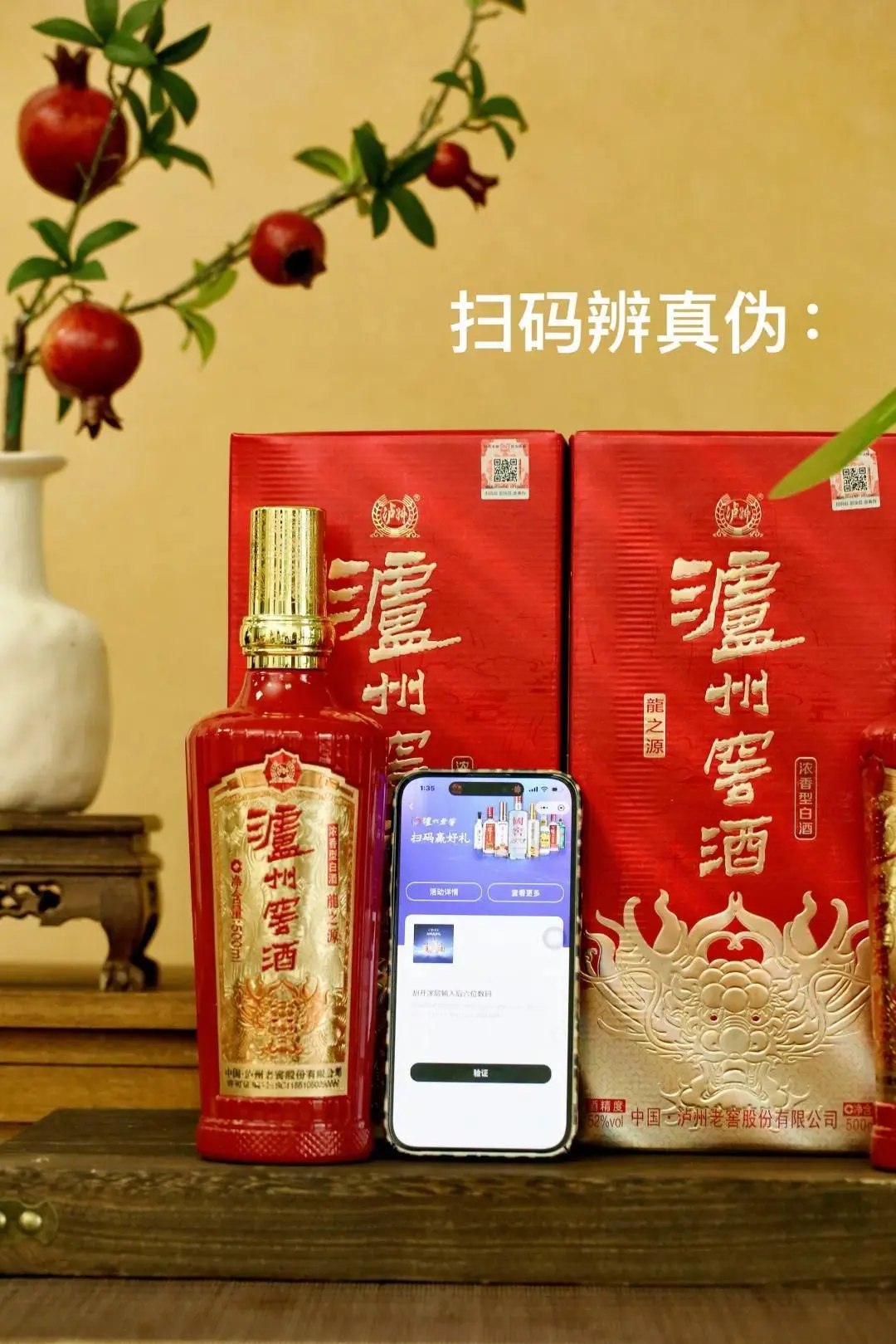 蒋勋大师课合集全11套-书籍-学习资料-电子书夸克网盘资源分享