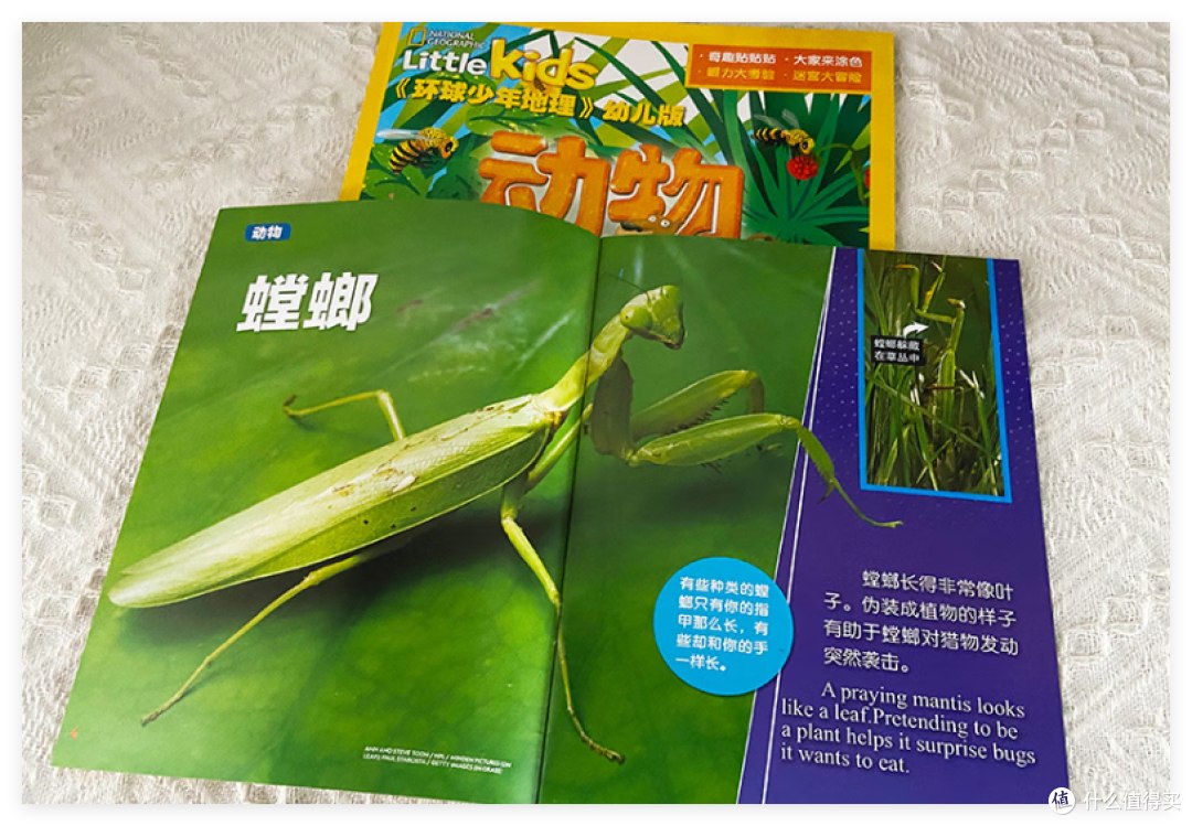 青少年科普百科杂志万物Howitworks-书籍-学习资料-电子书夸克网盘资源分享