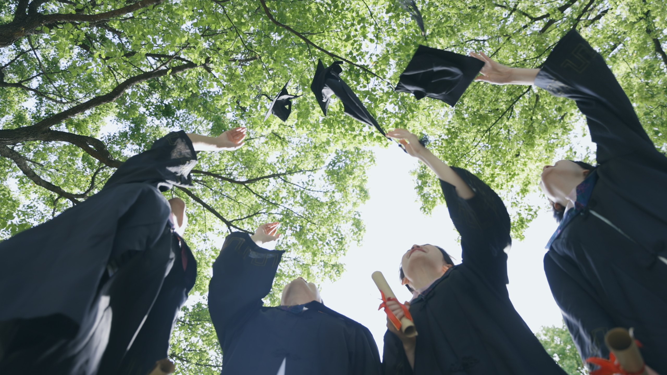 毕业求职面试设计素材合集-书籍-学习资料-电子书夸克网盘资源分享