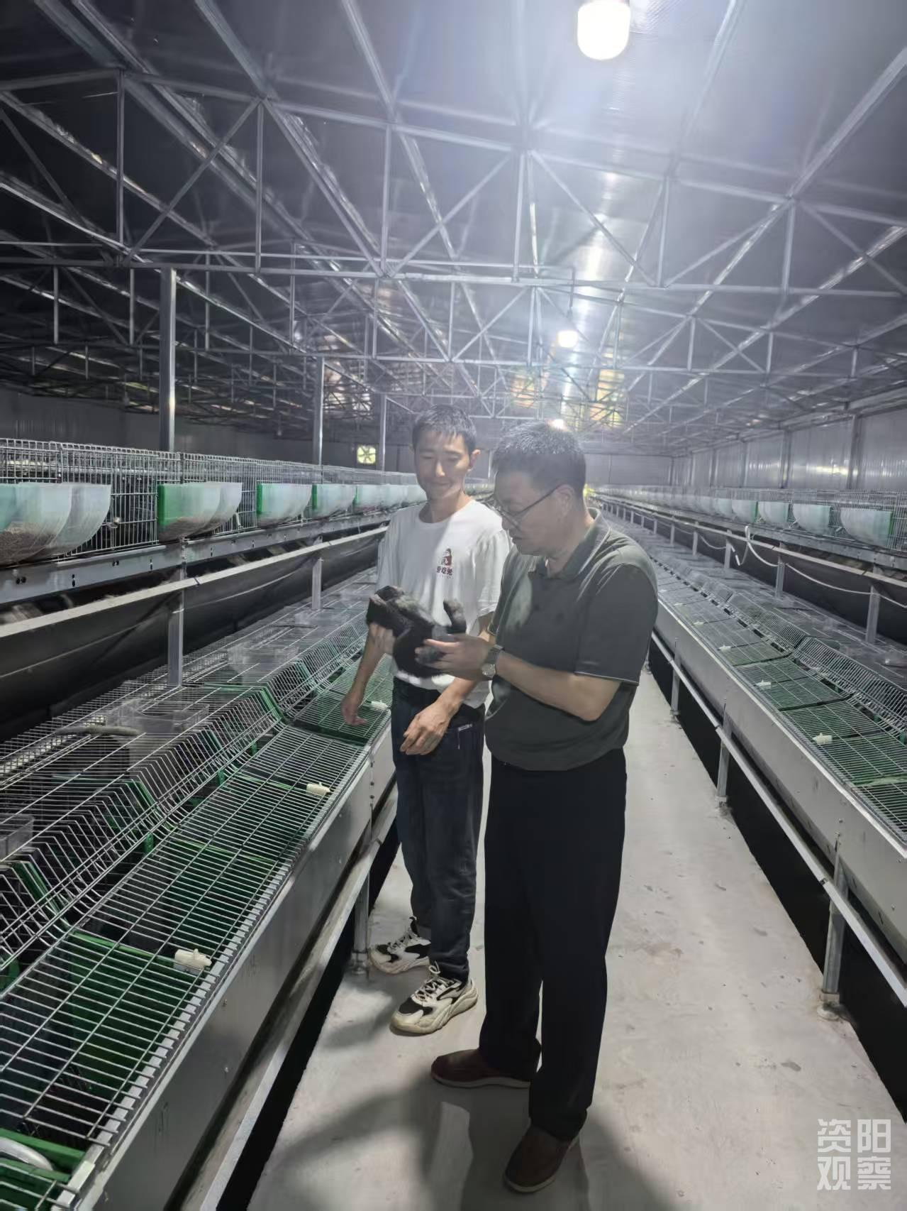 叔贵的减脂训练课-书籍-学习资料-电子书夸克网盘资源分享