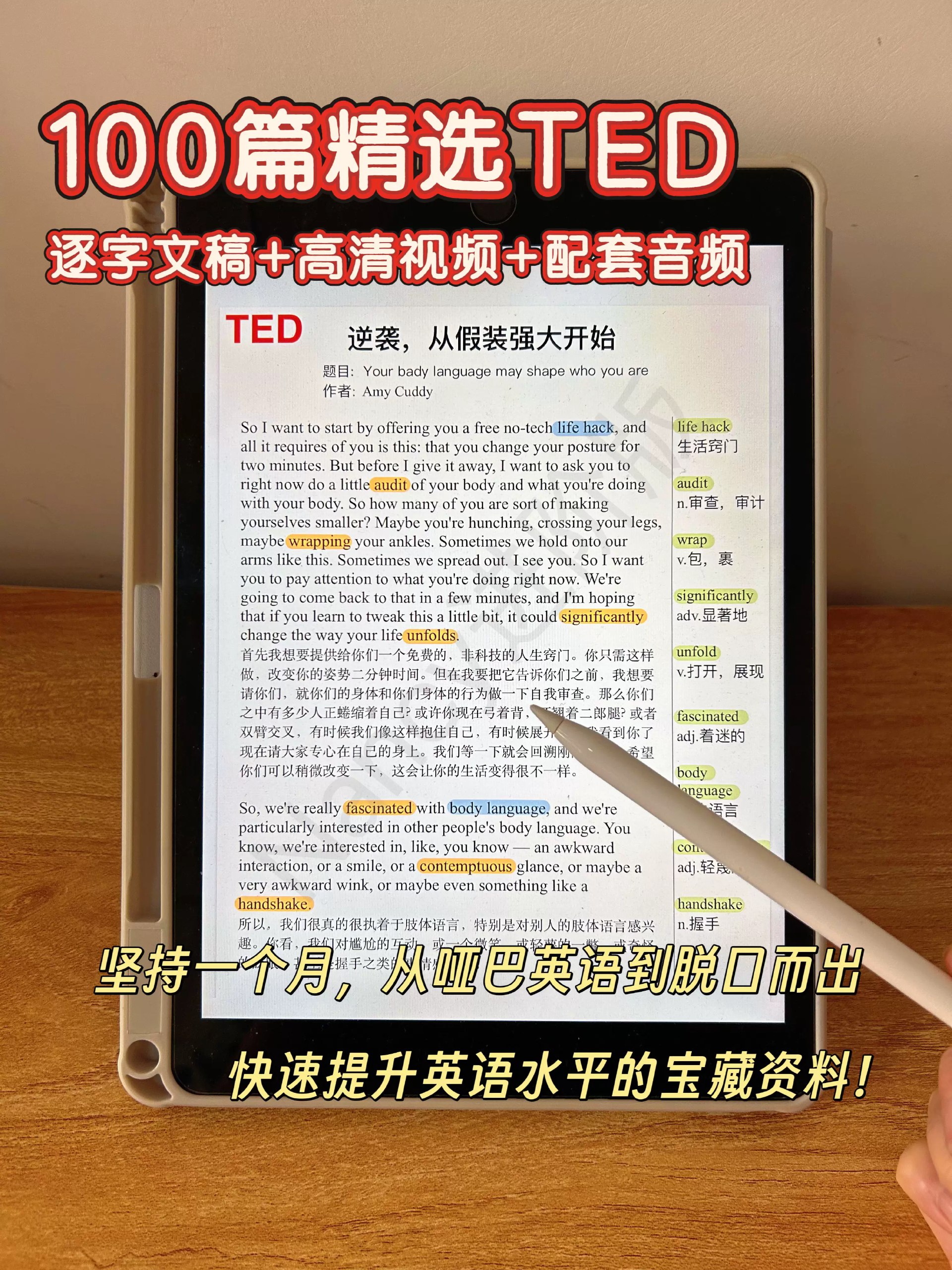 TED演讲视频+文稿(共100篇)-书籍-学习资料-电子书夸克网盘资源分享