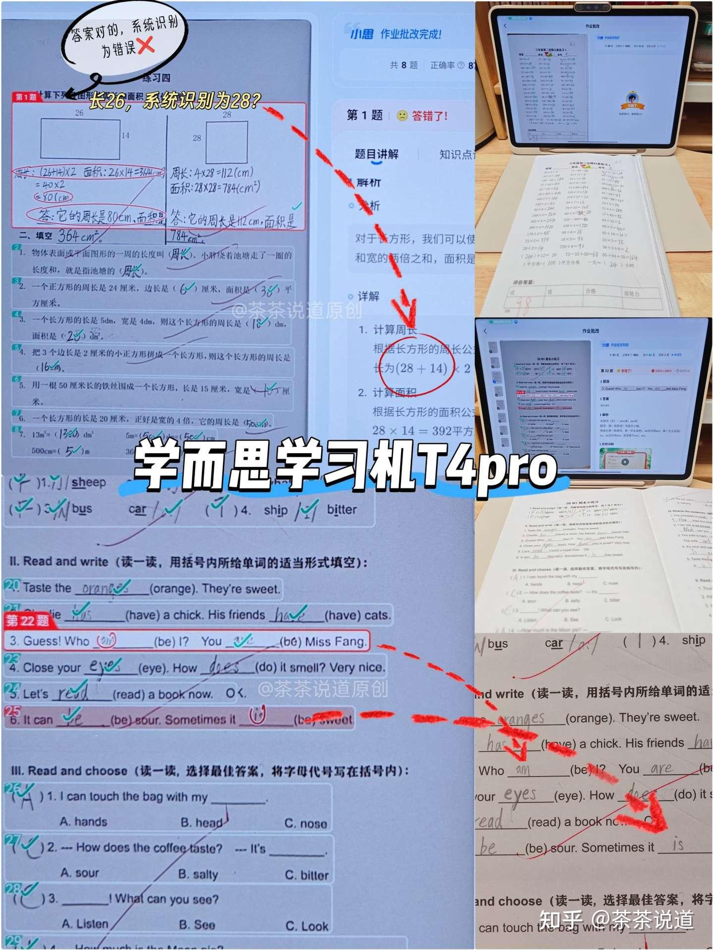 21天攻克核心考点小升初语文26年-书籍-学习资料-电子书夸克网盘资源分享