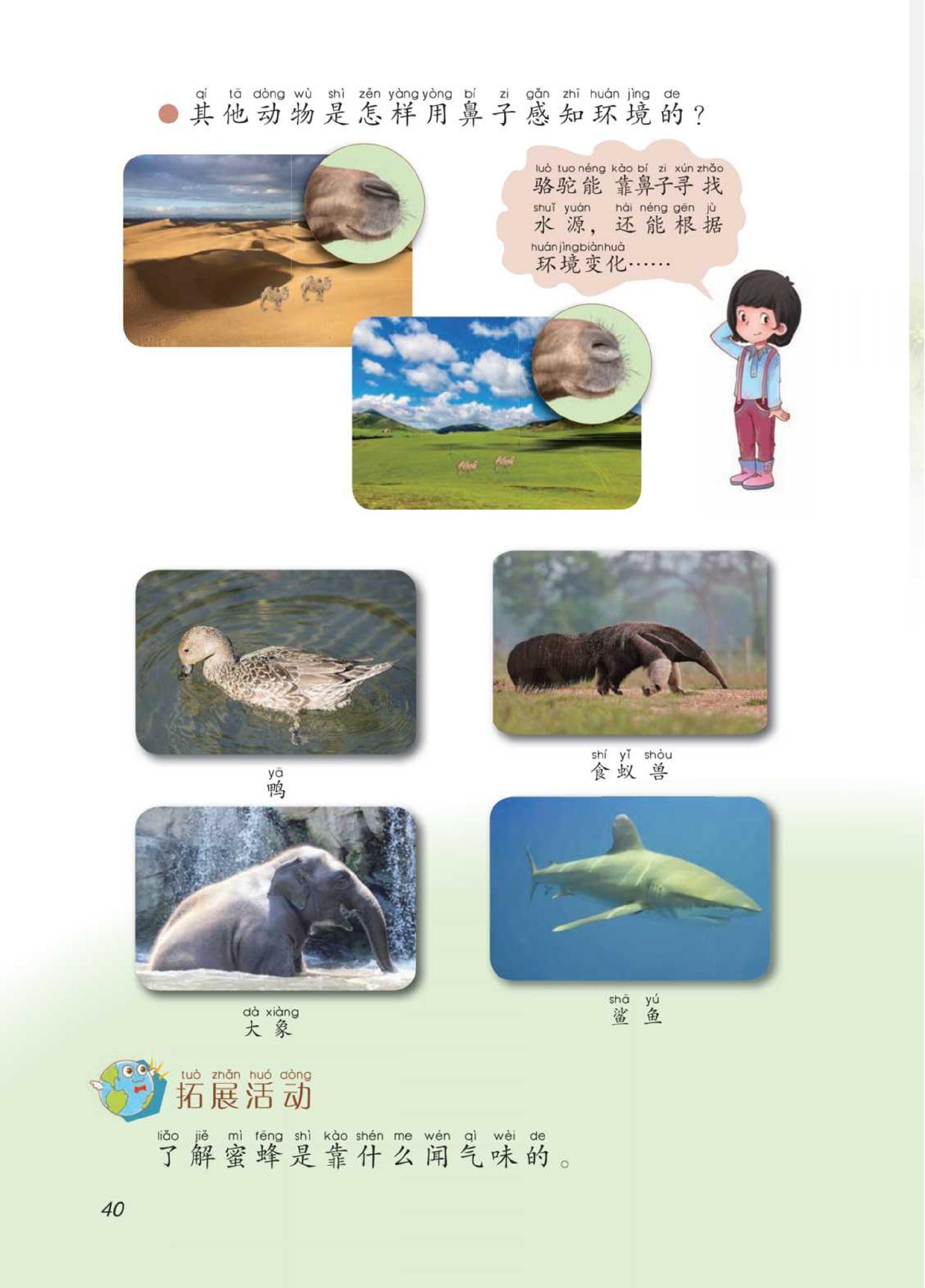 2年级下册-书籍-学习资料-电子书夸克网盘资源分享