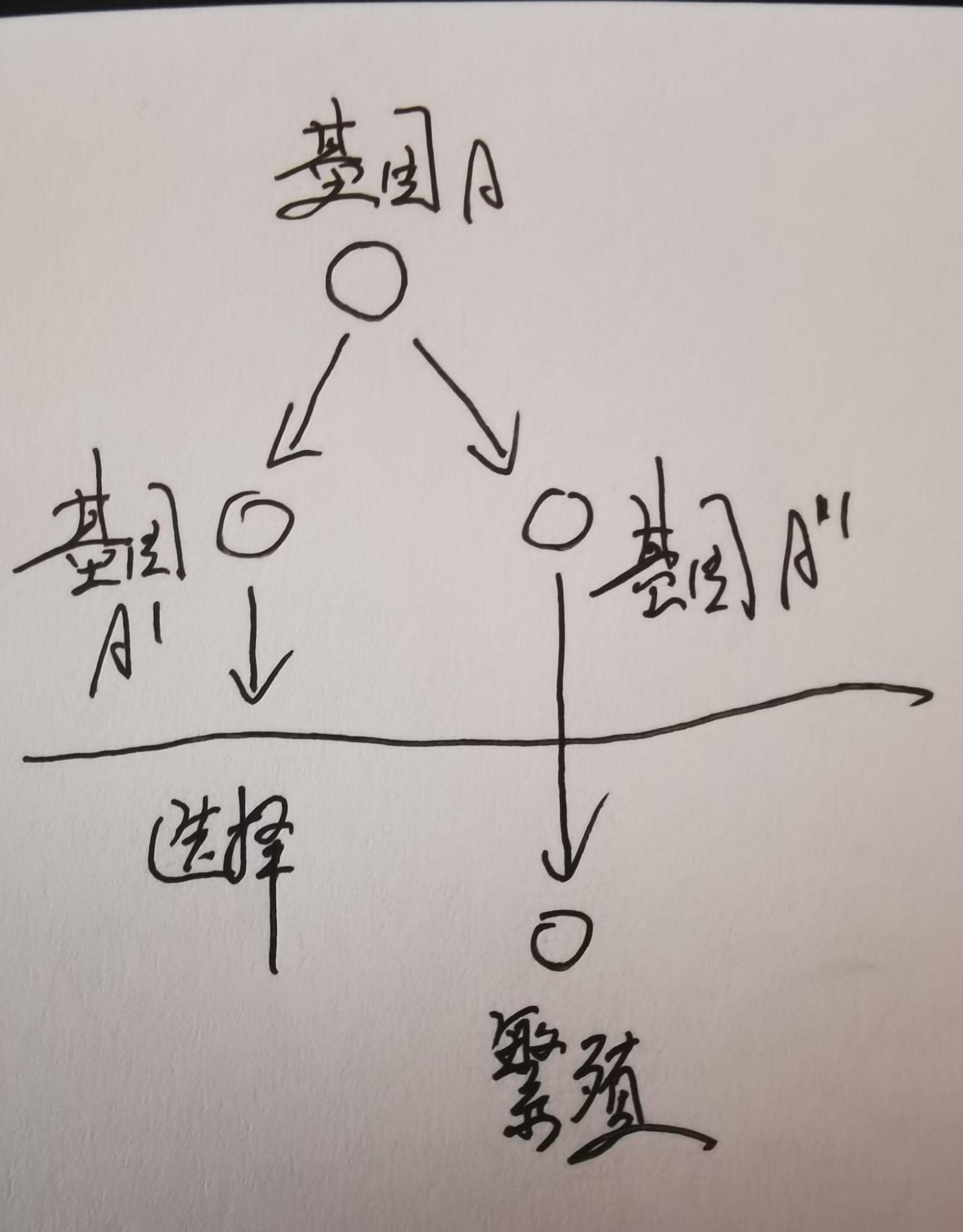 历史学者张宏杰-中西文明对比15讲（完结）-书籍-学习资料-电子书夸克网盘资源分享