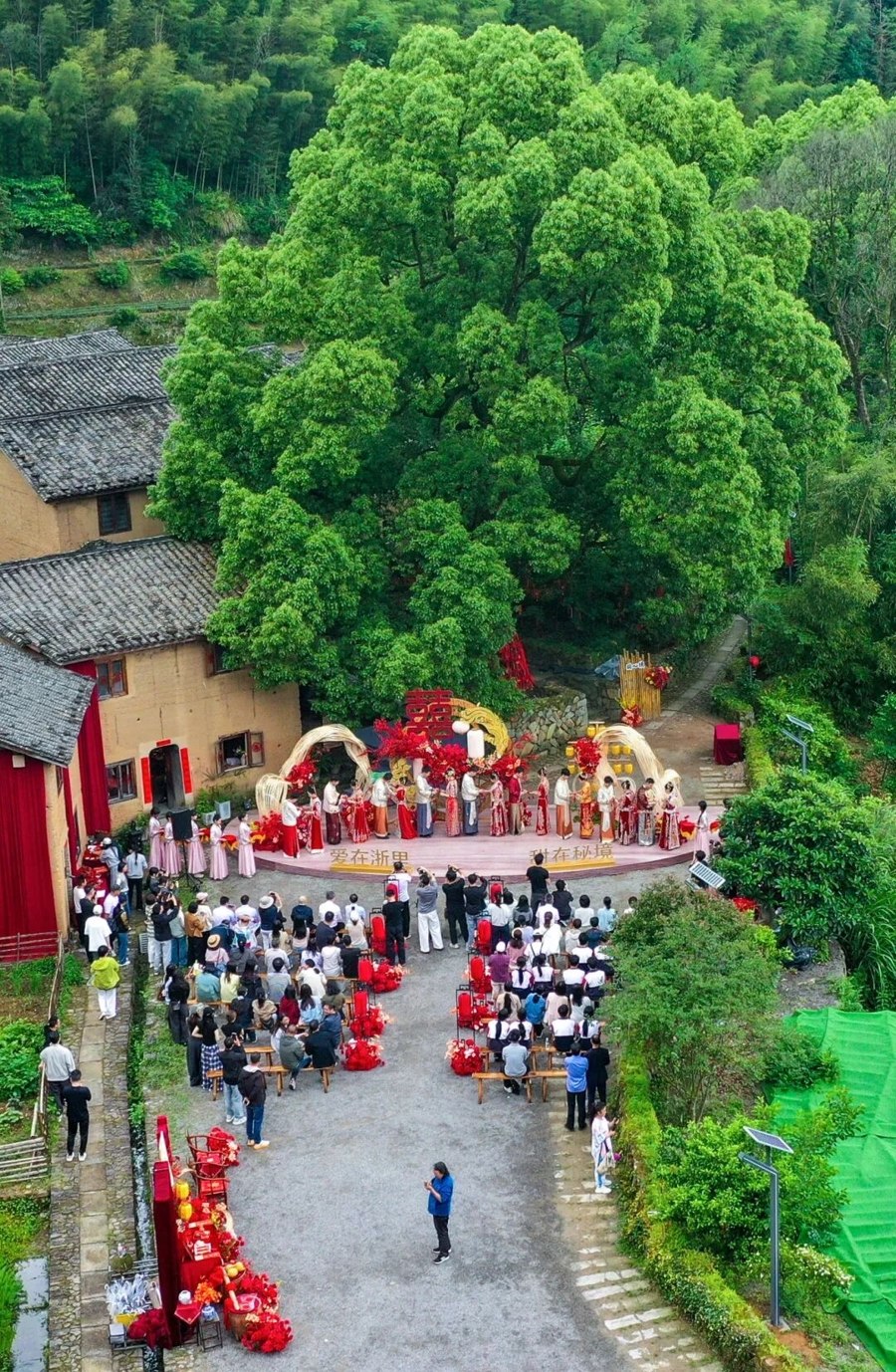 杨宁老师的文学启示课（完结）-书籍-学习资料-电子书夸克网盘资源分享
