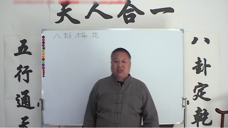 赵向阳~八字全息场精准断1-3单元资料13.无观周易时空信息学——梅花易数预测学-书籍-学习资料-电子书夸克网盘资源分享