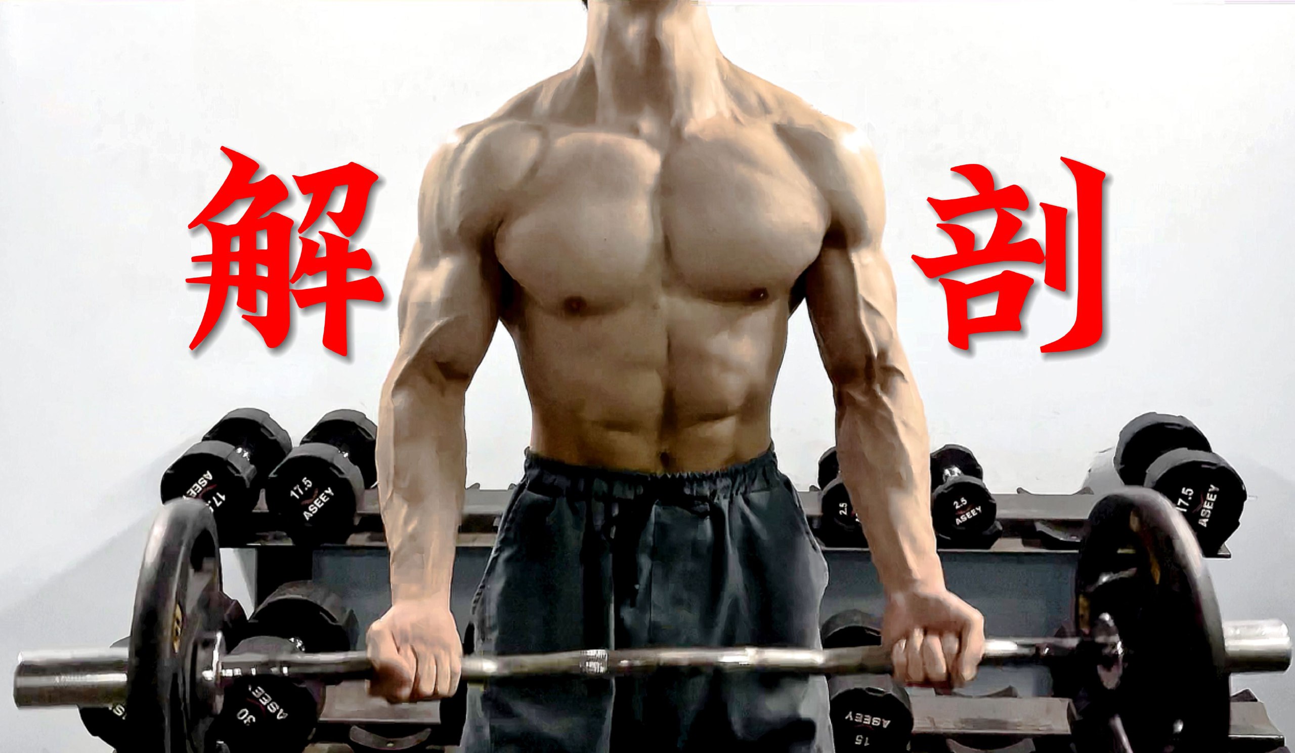 健身饮食讲解-书籍-学习资料-电子书夸克网盘资源分享