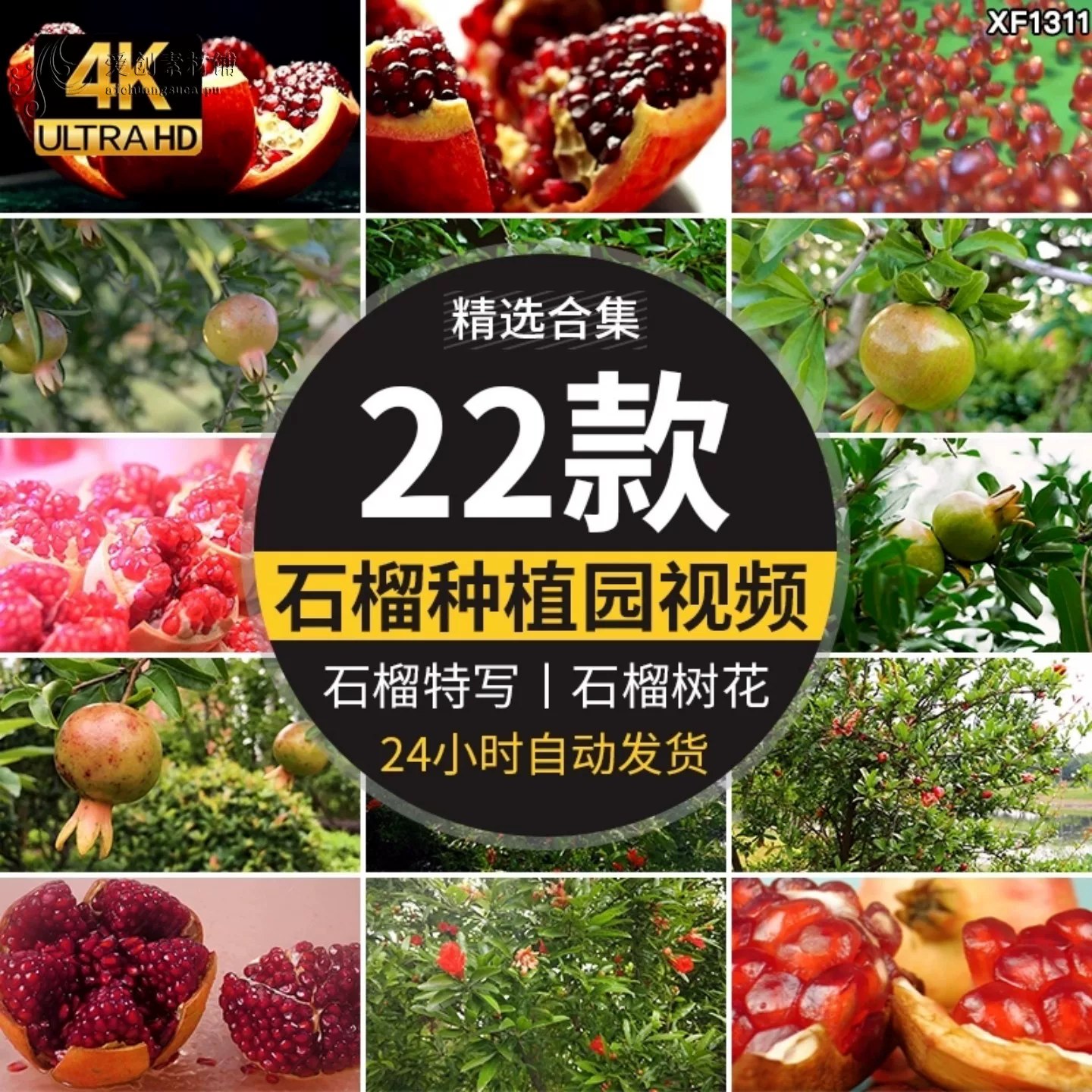番石榴飘香-书籍-学习资料-电子书夸克网盘资源分享