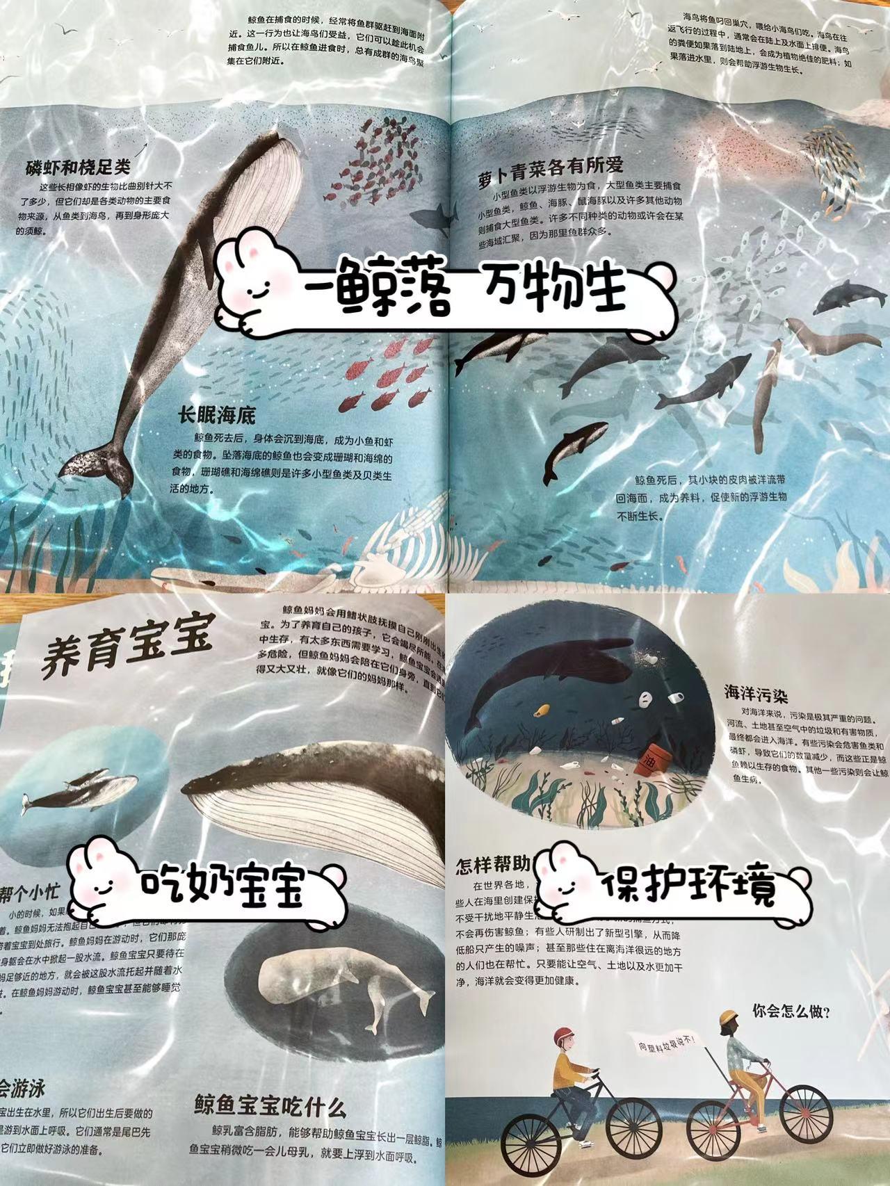 少年得到史前巨兽大揭秘，带孩子解锁古生物知识-书籍-学习资料-电子书夸克网盘资源分享