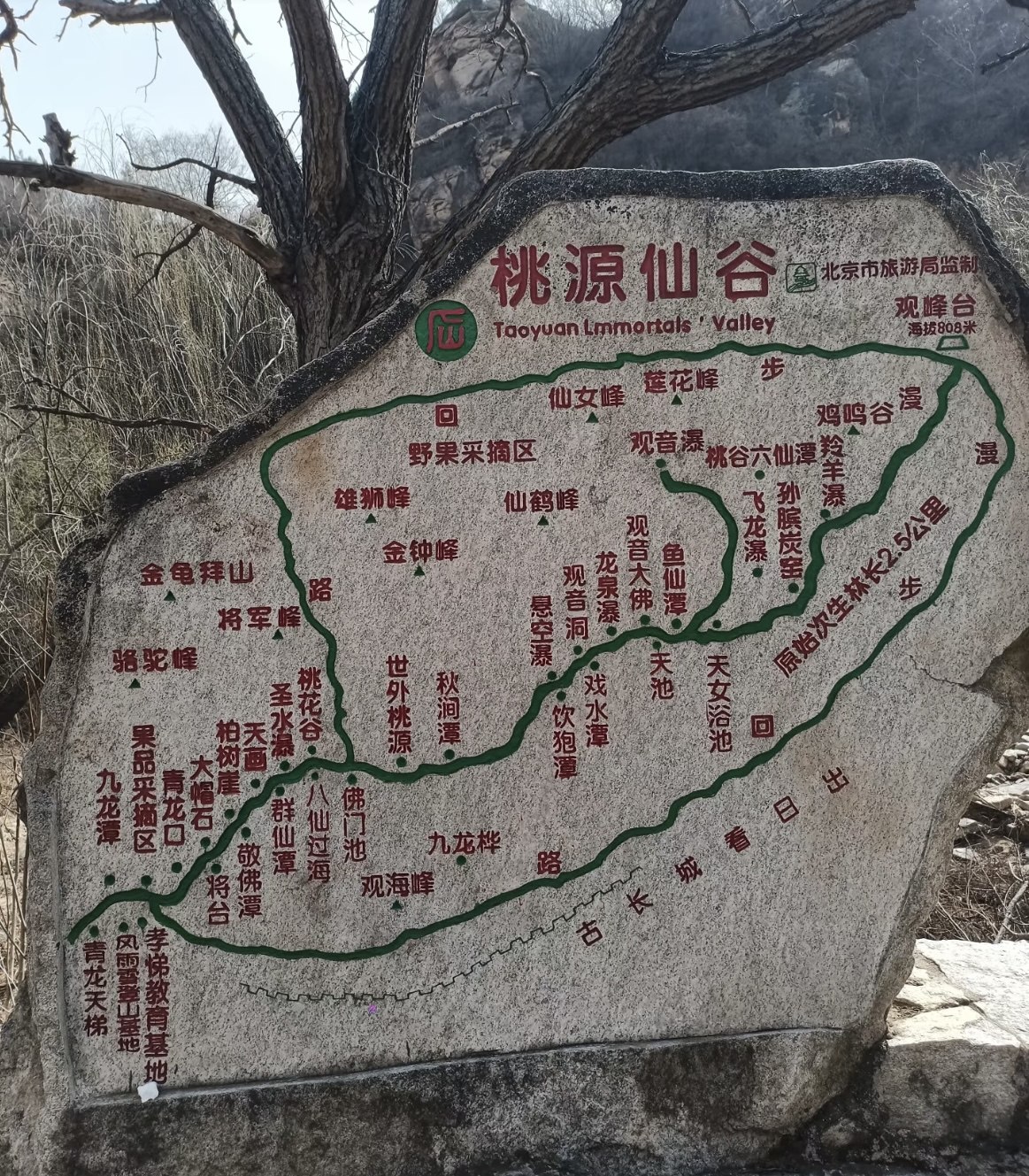 停止自我攻击:别再跟自己较劲了,学会放过自己-书籍-学习资料-电子书夸克网盘资源分享