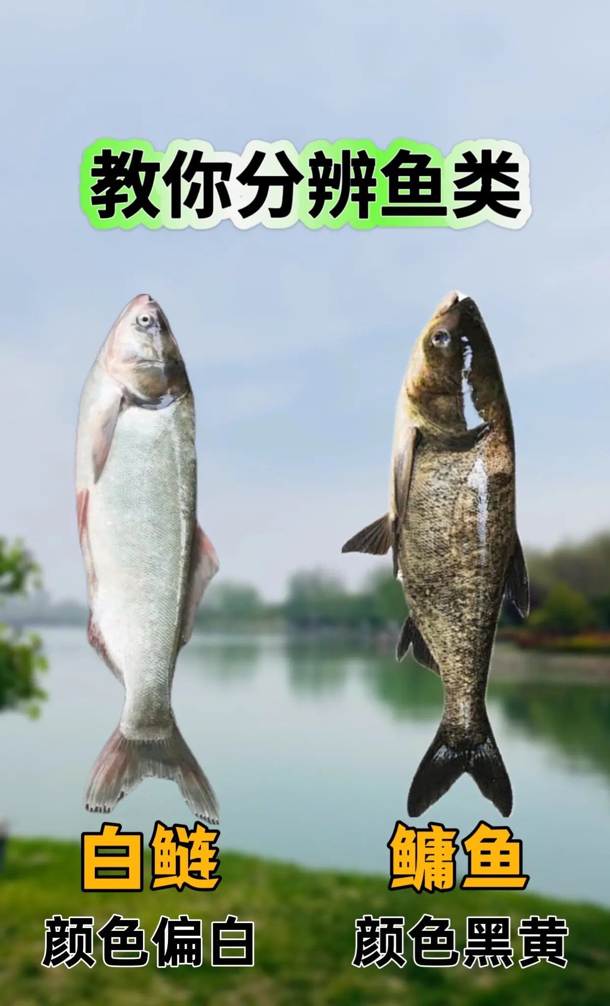你应该知道的生物学常识-书籍-学习资料-电子书夸克网盘资源分享